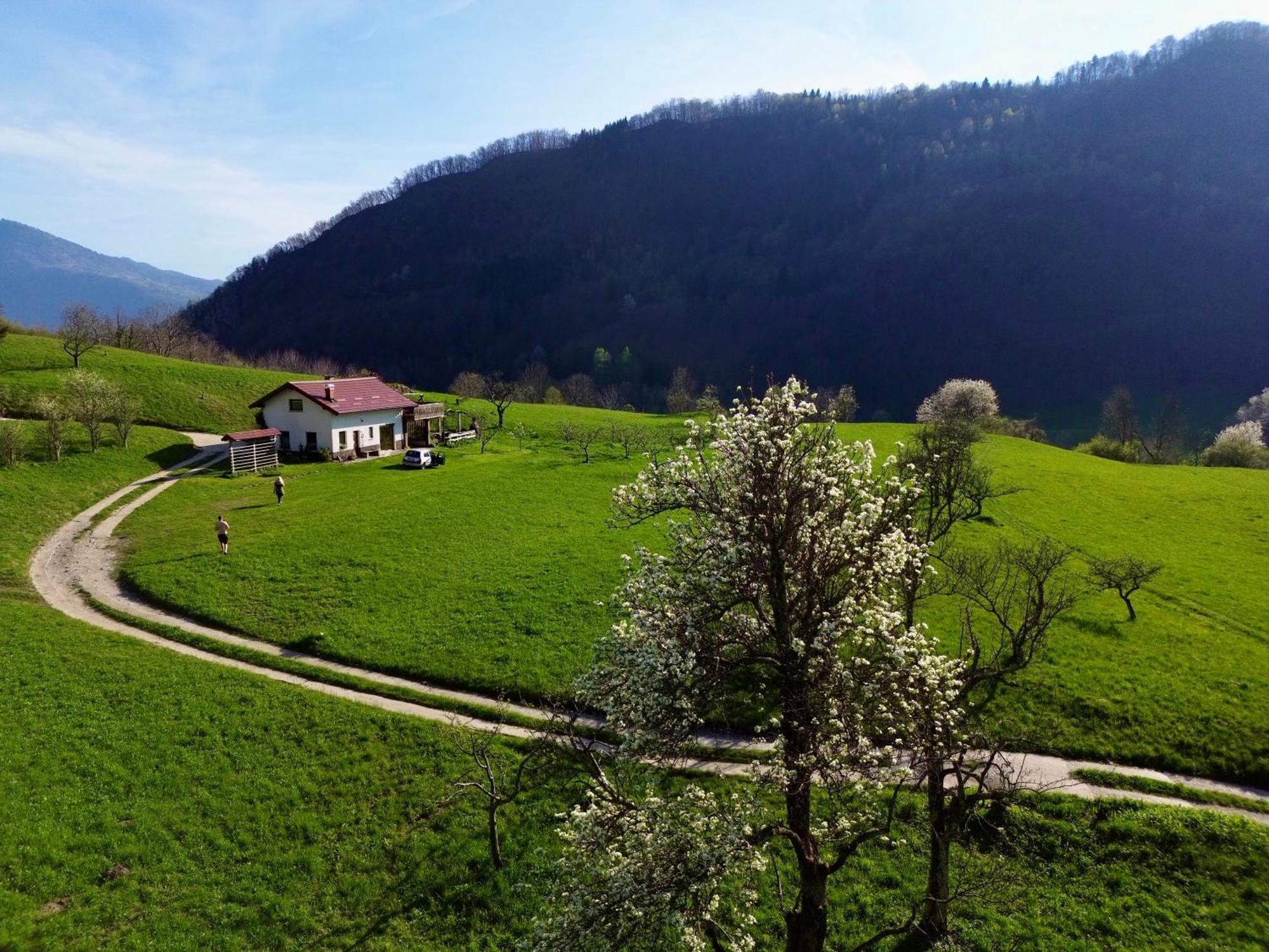 Holiday Home Krn&Relax Kobarid Exterior foto