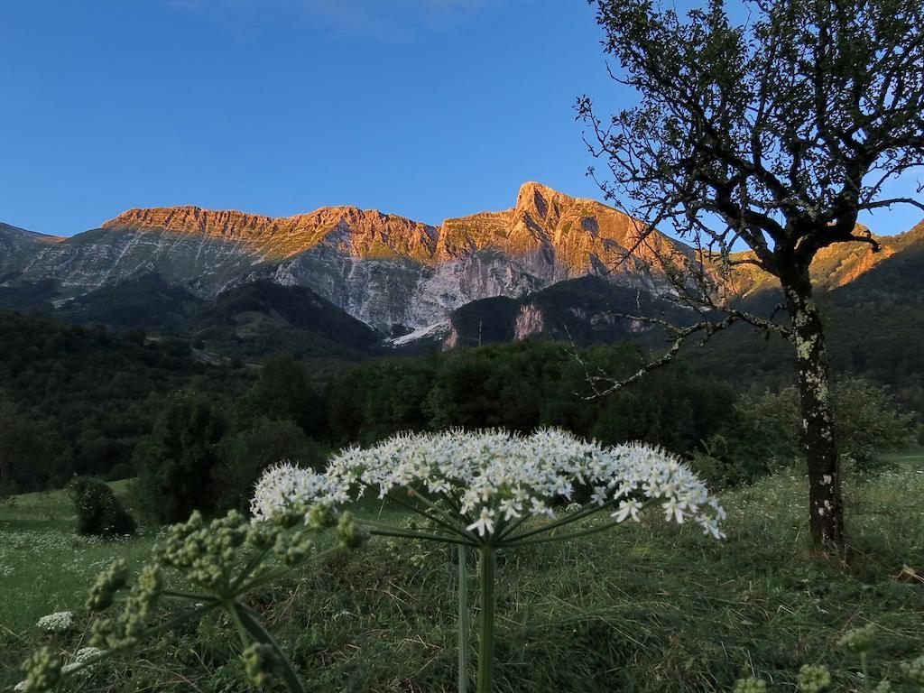 Holiday Home Krn&Relax Kobarid Quarto foto